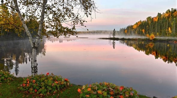 Country Image 4
