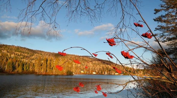 Country Image 4