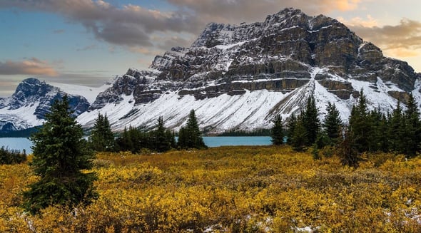 Country Image 4