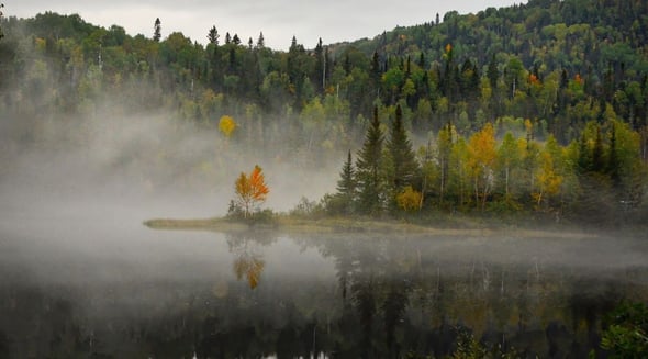 Country Image 4