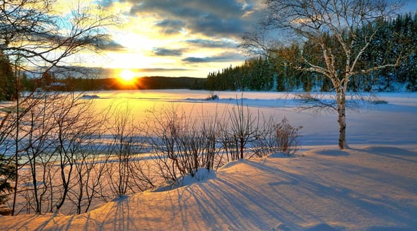Country Image 4