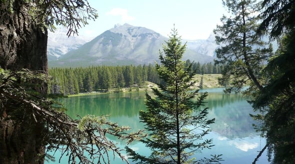 Country Image 4