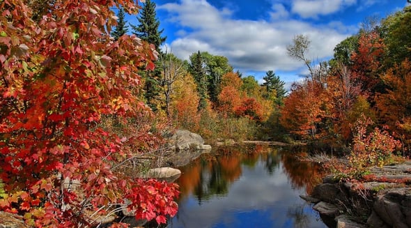 Country Image 4