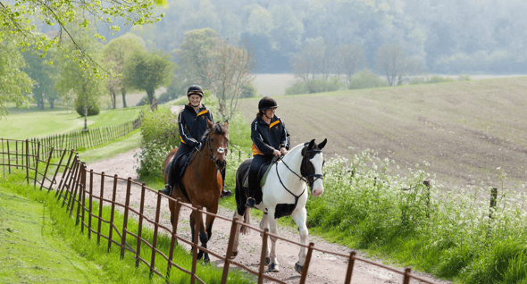Country Image 2