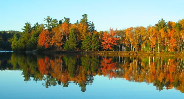 Country Image 4