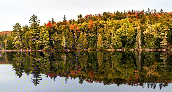 Country Image 4