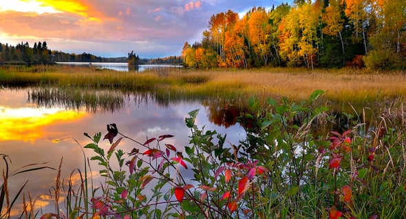 Country Image 4