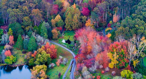 Country Image 4