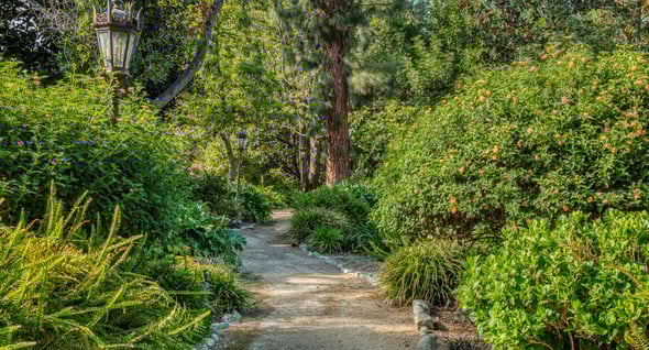 Country Image 4