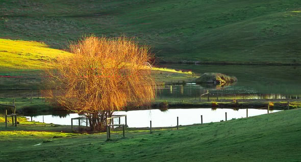 Country Image 4