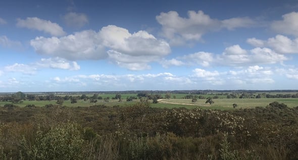 Country Image 4