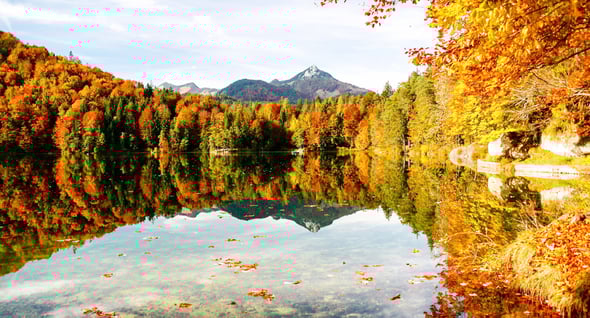 Country Image 4