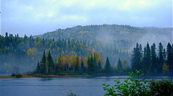 Country Image 4