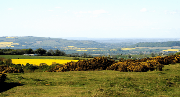 Country Image 4