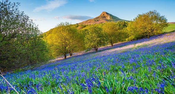 Country Image 4