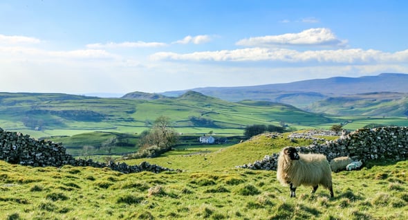 Country Image 4