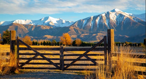 Country Image 4