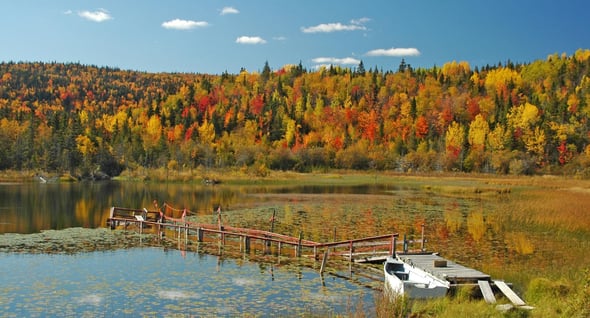 Country Image 4