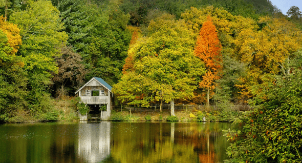 Country Image 4