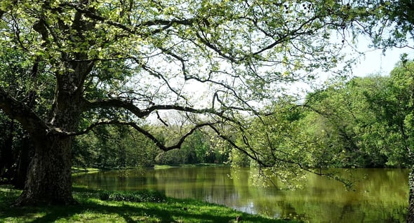 Country Image 4