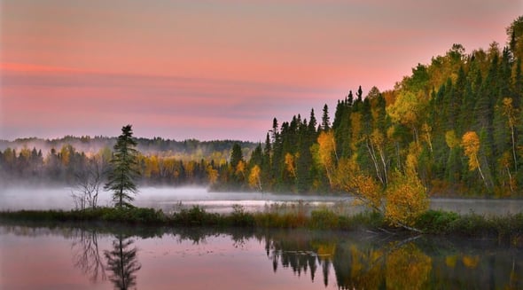 Country Image 4