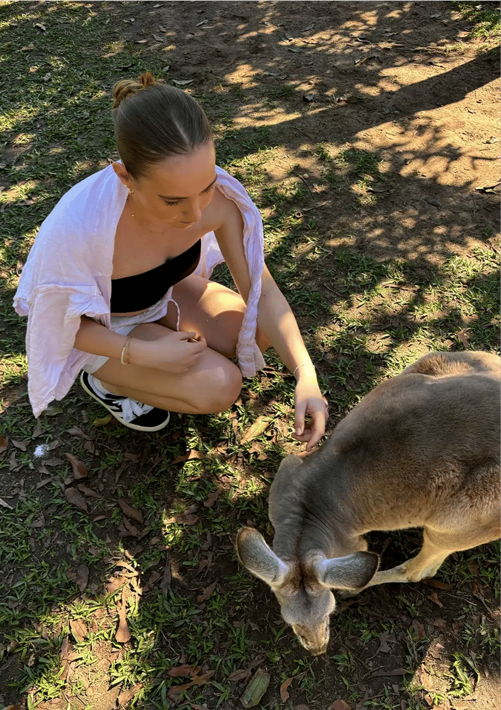 AUS Alicia