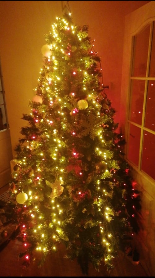 Leuchtender Weihnachtsbaum