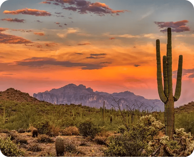 Australien Alicia Klein Bild 2 2