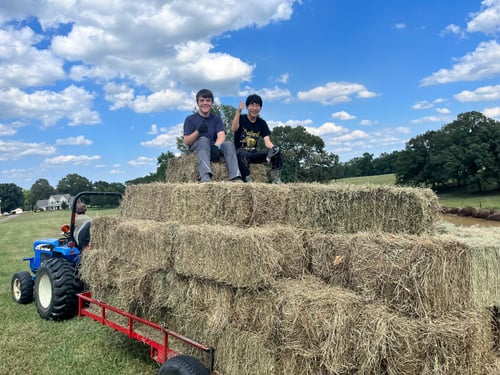 Zwei Jungs auf einem Anhänger mit Heu