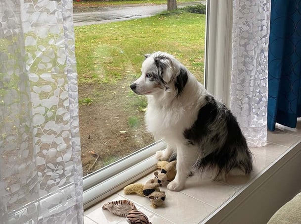 Daria Ladig Gastfamilie