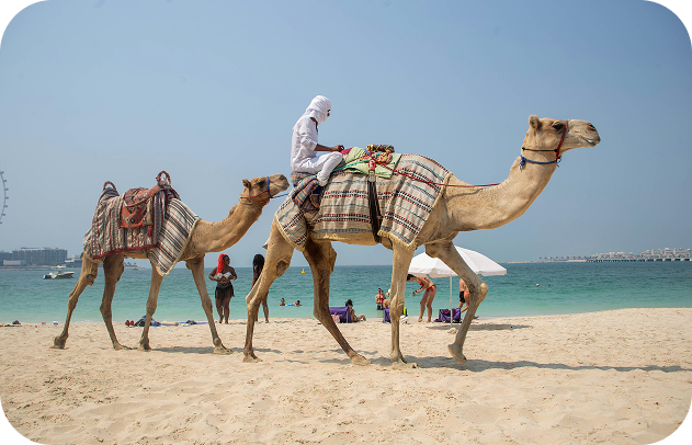 Dubai Schüleraustausch