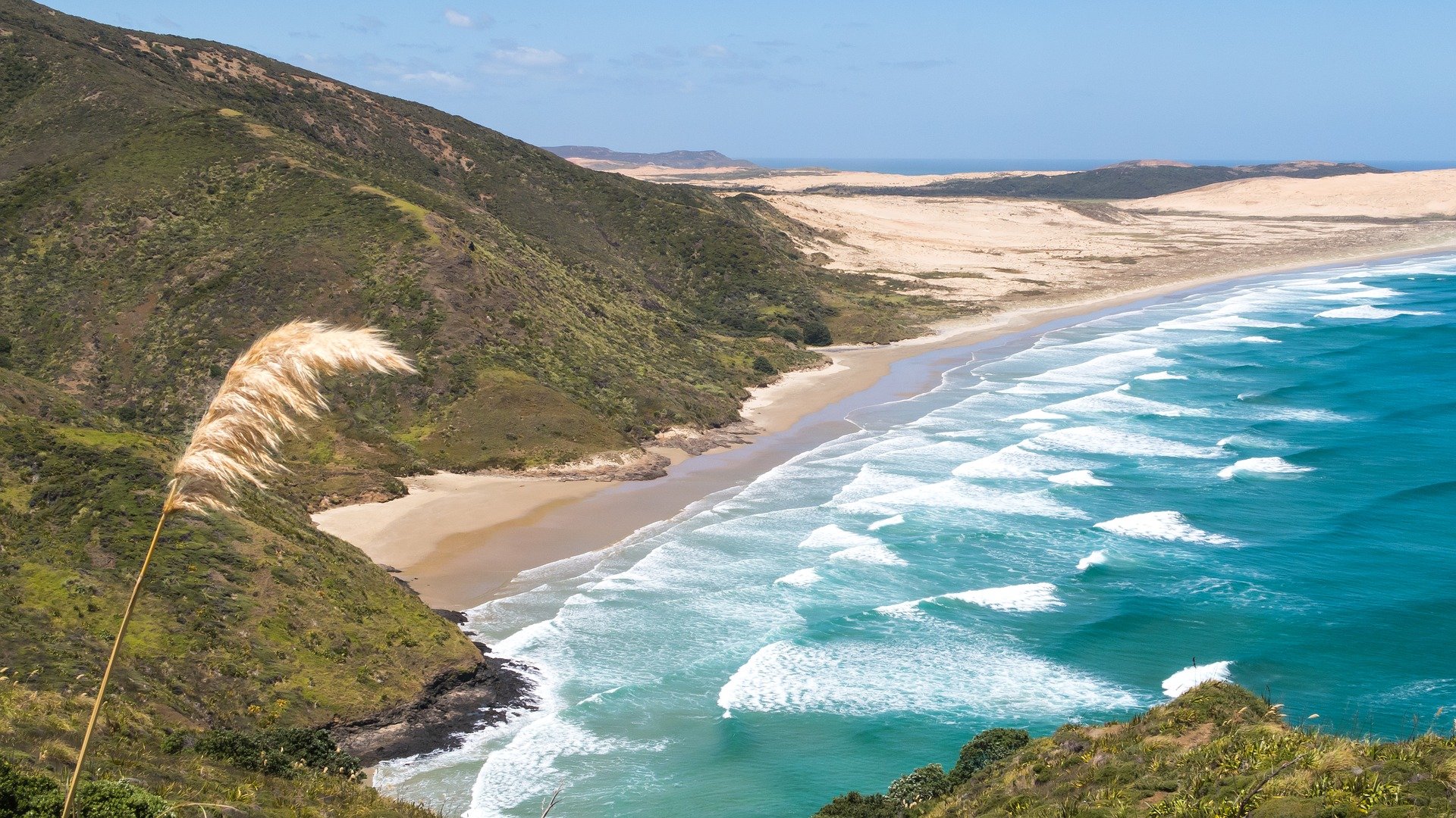 Ebook_Cape Reinga 2