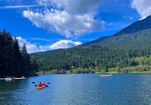 Eisbären und Belugas
