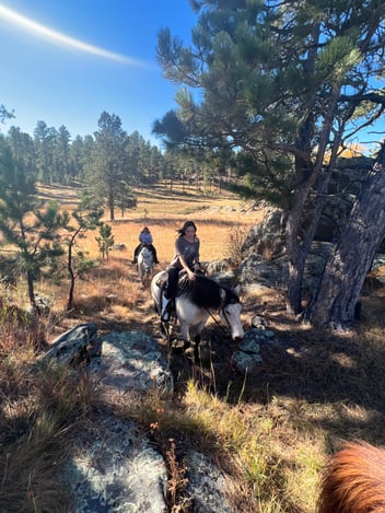 Blog Article Featured Image 6