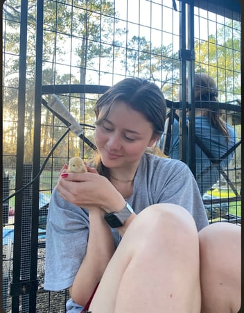 Blog Article Featured Image 1