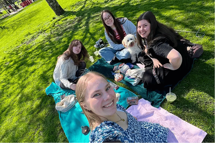 Gruppenfoto Irland Picknick Wiese