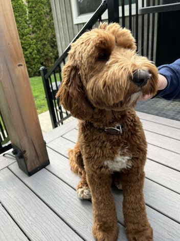 Blog Article Featured Image 8