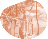 Hawaii Header -03