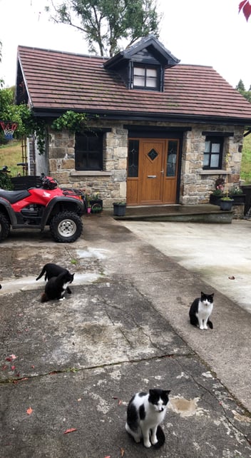 Blog Article Featured Image 4