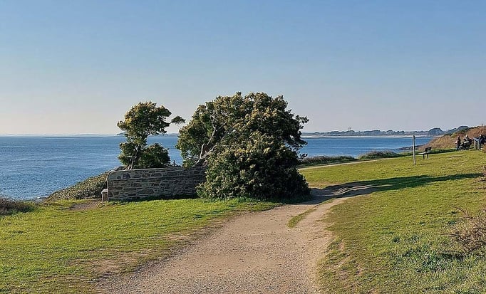 Main Blog Image