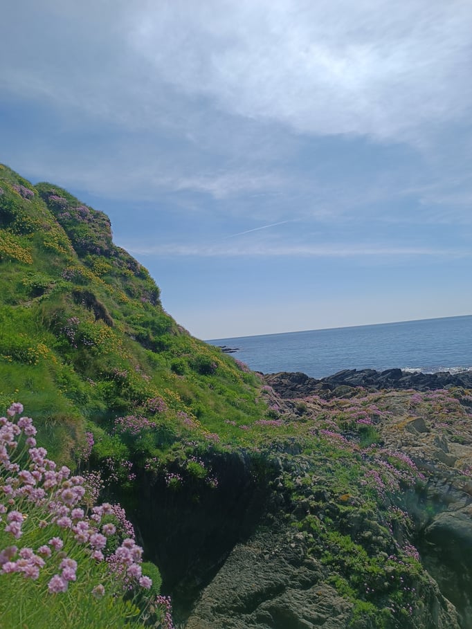 Main Blog Image