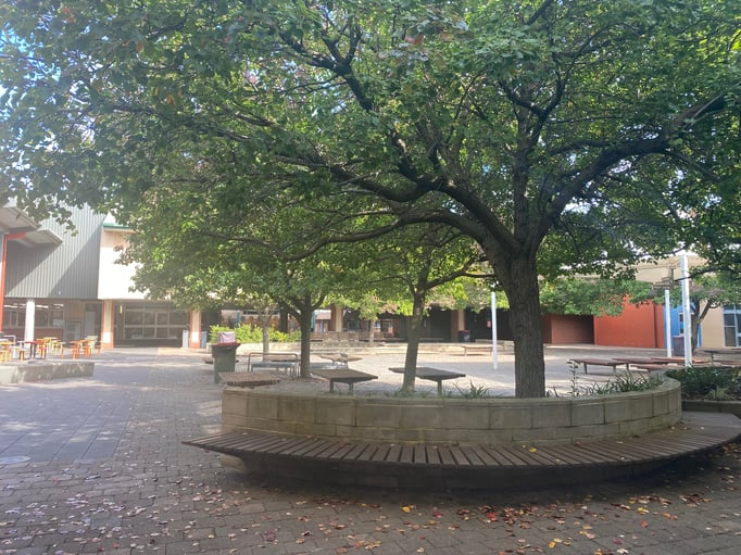 Main Blog Image