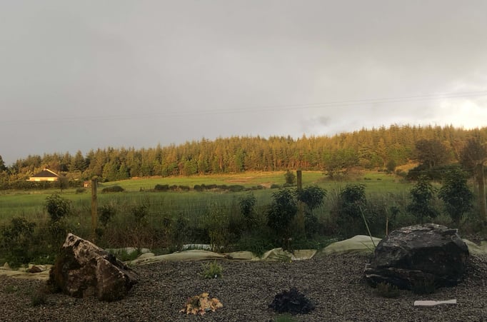 Main Blog Image