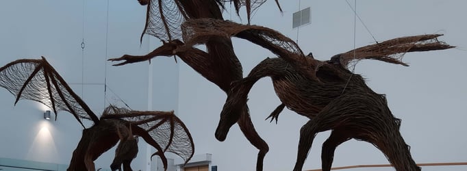Main Blog Image