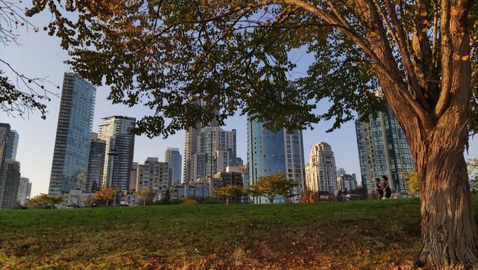 Main Blog Image