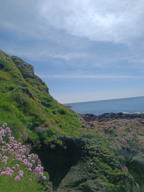 Küste mit Ausblick auf das Meer