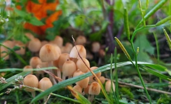 Blog Article Featured Image 7