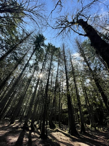 Blog Article Featured Image 1