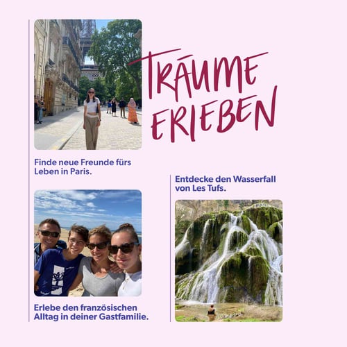 KD-Broschüre-FRA-öffentlich2