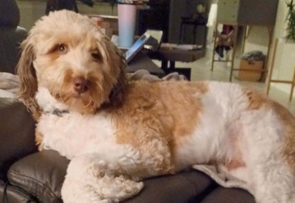 Kaja Lürßen Gastfamilie